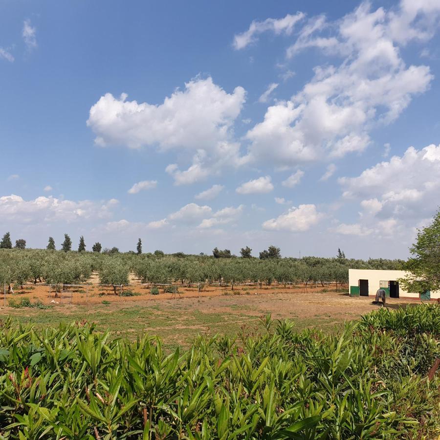 Finca-Vallestares Almonte Exterior photo